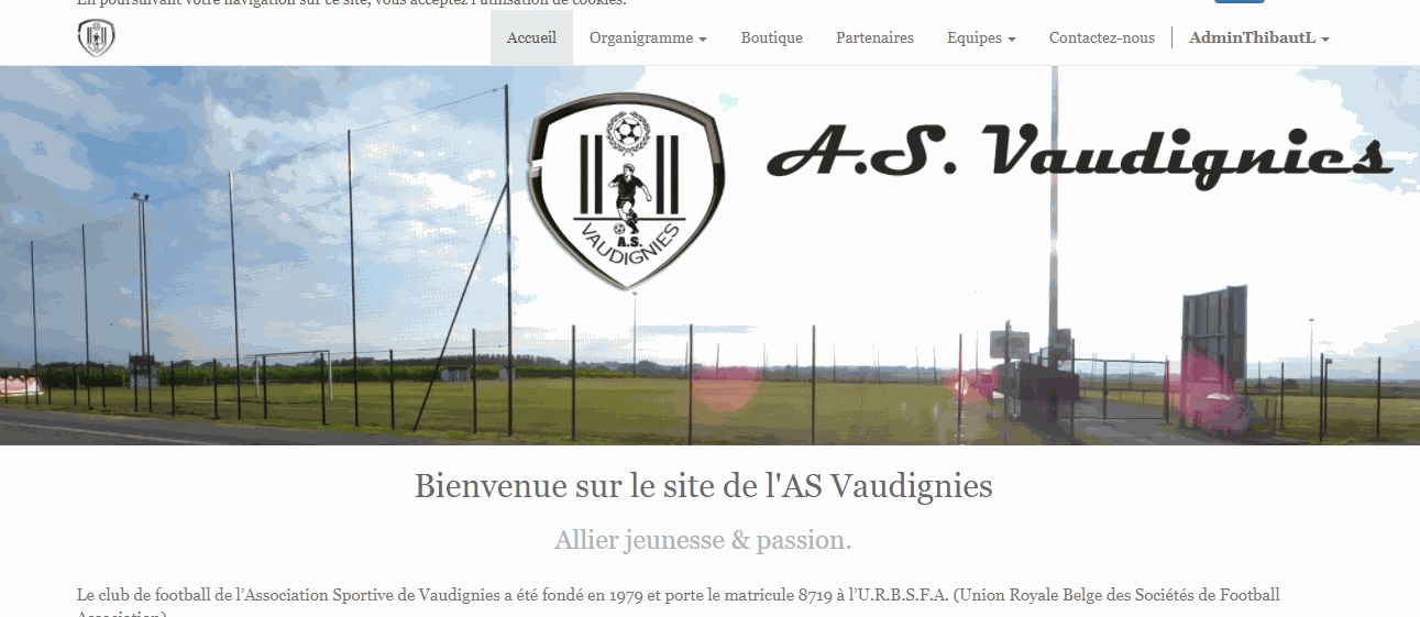 Slider Odoo Image